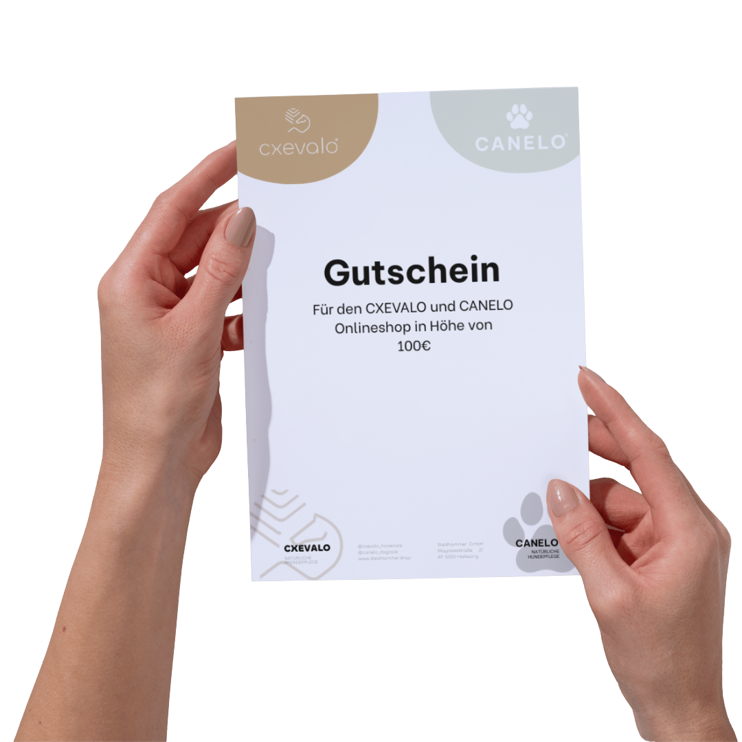 Hände halten einen Gutschein für den CXEVALO und CANELO Onlineshop
