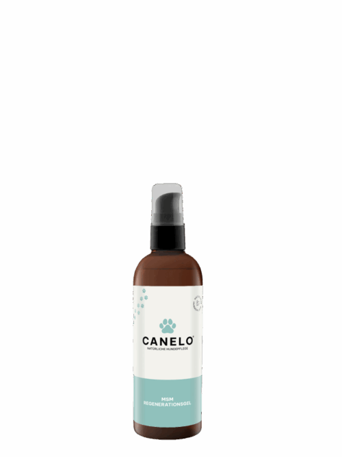 CANELO MSM Regenerationsgel 100ml