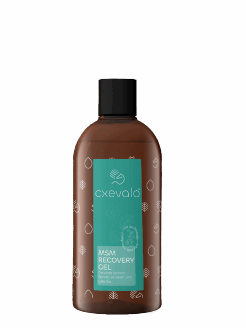 CXEVALO MSM Regenerationsgel 500ml