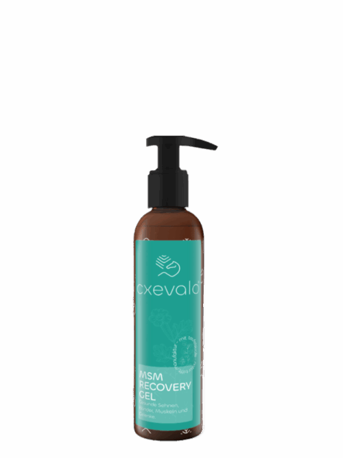 CXEVALO MSM Regenerationsgel 150ml