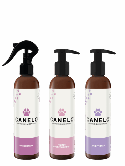 CANELO Waschspray, CANELO Mildes Hundeshampoo, CANELO Conditioner